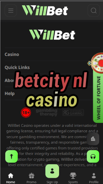 BetCity NL Casino - Dutch Casino Platform-casinoorder.vip