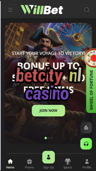 BetCity NL Casino - Dutch Casino Platform-casinoorder.vip
